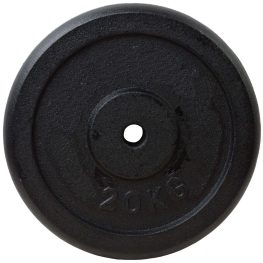 Standard 25mm Cast Iron Weight Plates