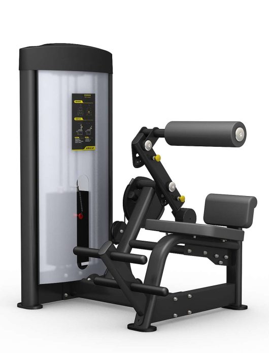 Extreme Core - Commercial Back Extension Machine GR612