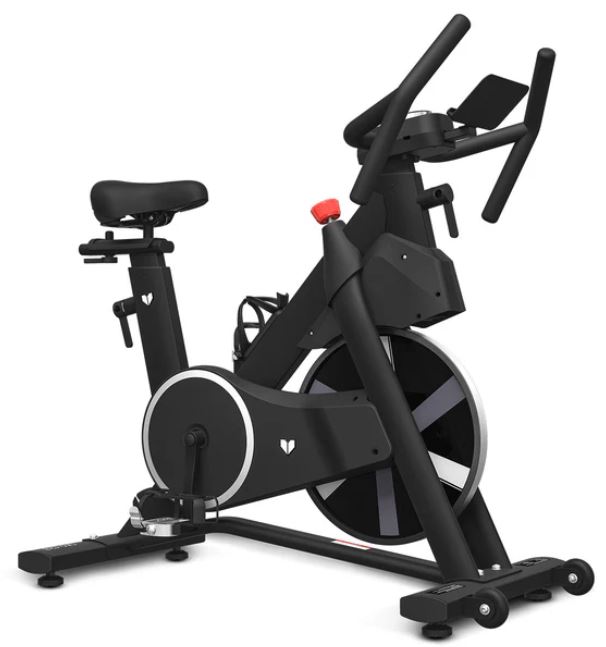 Lifespan SM-420 Spin Bike *ONLY A FEW LEFT*